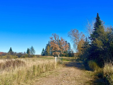 (private lake, pond, creek) Acreage For Sale in Catawba Wisconsin