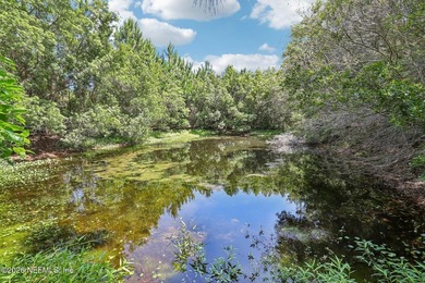 Rare opportunity to own 9.39 acres on beautiful Black Hammock - photo 31