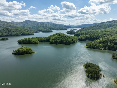 Gorgeous lakefront acreage with private dock!!! Break away from - photo 34