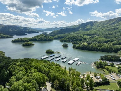 Gorgeous lakefront acreage with private dock!!! Break away from - photo 35