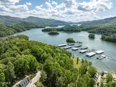 Gorgeous lakefront acreage with private dock!!! Break away from - photo 36