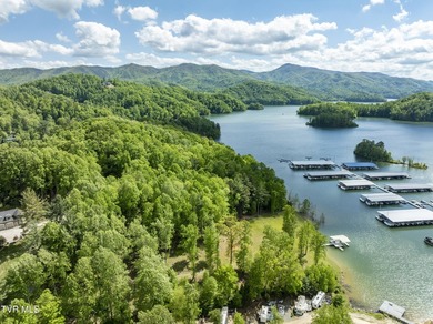 Gorgeous lakefront acreage with private dock!!! Break away from - photo 37