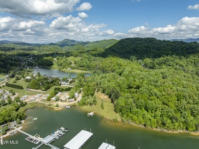 Gorgeous lakefront acreage with private dock!!! Break away from - photo 38