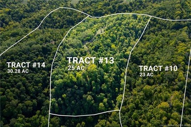 Ohio River Acreage For Sale in Patriot Indiana