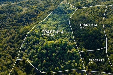 Ohio River Acreage For Sale in Patriot Indiana