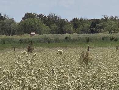 Cleared 20 ac tract ready for your country living dream retreat - photo 24