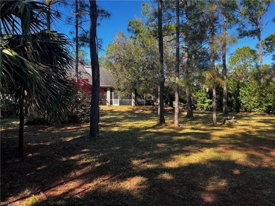 This spacious Golden Gate Estate home has 3 bedrooms, 2 - photo 3