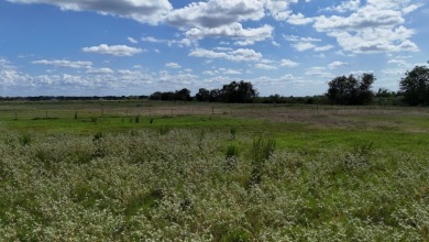 Cleared 20 ac tract ready for your country living dream retreat - photo 28