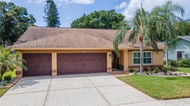 (private lake, pond, creek) Home For Sale in Riverview Florida