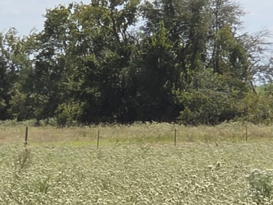 Cleared 20 ac tract ready for your country living dream retreat - photo 18