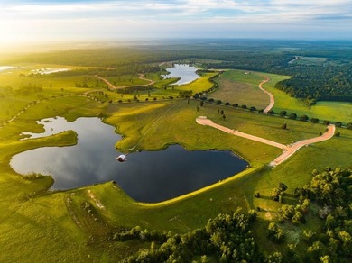 (private lake, pond, creek) Acreage For Sale in Hillister Texas