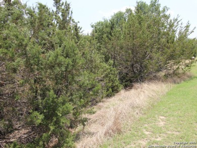 Wonderful potential on this 0.49 acre lot in the Holiday - Lake Lot For Sale in Bandera, Texas