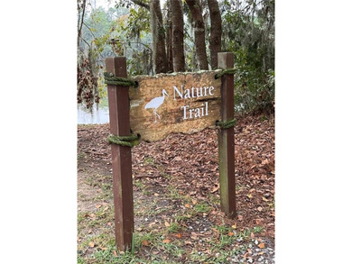 Beautiful homesite in perfect Tolomato location, just around the - photo 17