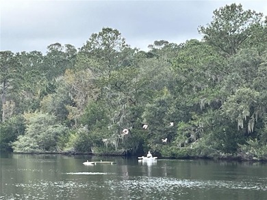 Beautiful homesite in perfect Tolomato location, just around the - photo 18
