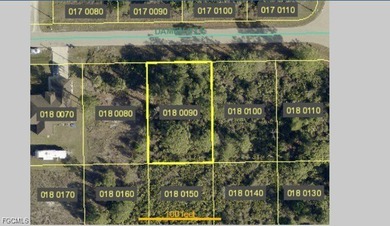 Lehigh Acres Area Lot For Sale in Lehigh Acres Florida