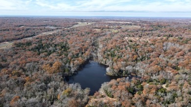 6890-Hunter's Paradise: 240 Acres of Prime Hunting Land Loaded - Lake Home For Sale in Athens, Texas
