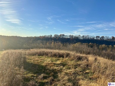 (private lake, pond, creek) Acreage For Sale in Greensburg Kentucky