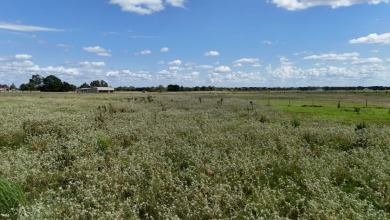 Cleared 20 ac tract ready for your country living dream retreat - photo 8
