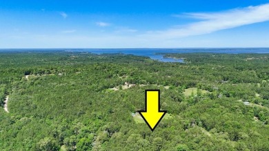 Lake Acreage For Sale in Brookeland, Texas
