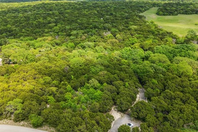 52 Secluded Wooded Acres in Cedar Hill - Bordering Dogwood - photo 1