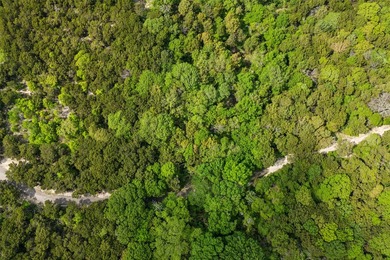 52 Secluded Wooded Acres in Cedar Hill - Bordering Dogwood - photo 2