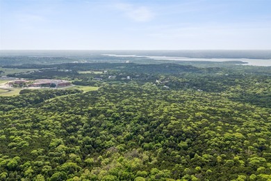 52 Secluded Wooded Acres in Cedar Hill - Bordering Dogwood - photo 5