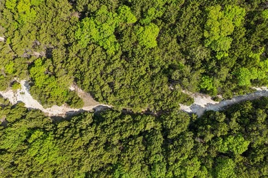 52 Secluded Wooded Acres in Cedar Hill - Bordering Dogwood - photo 10