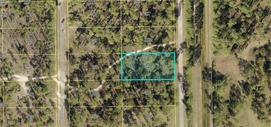 Lehigh Acres Area Lot For Sale in Lehigh Acres Florida