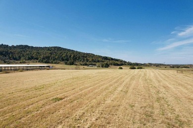 Lake Cumberland Acreage For Sale in Somerset Kentucky