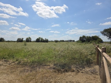 Cleared 20 ac tract ready for your country living dream retreat - photo 12