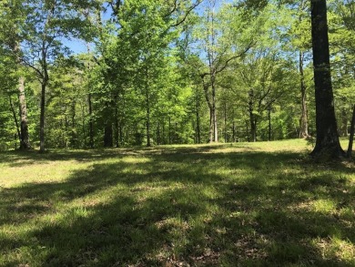 UNRESTRICTED 5 Acres adjoining Ntl Forest - Lake Acreage For Sale in Broaddus, Texas