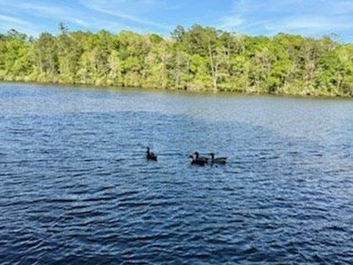 For those seeking a tranquil retreat, this secluded haven offers - photo 24