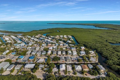 This canal front home checks all the boxes. PRICE, CONDITION - photo 29