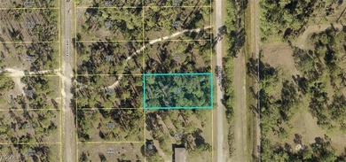 Lehigh Acres Area Lot For Sale in Lehigh Acres Florida