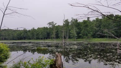 Duck Harbor Pond Acreage For Sale in Equinunk Pennsylvania