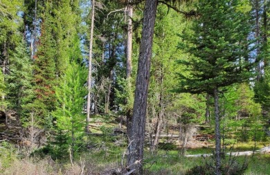 (private lake, pond, creek) Lot For Sale in Condon Montana