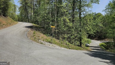 (private lake, pond, creek) Acreage For Sale in Clayton Georgia