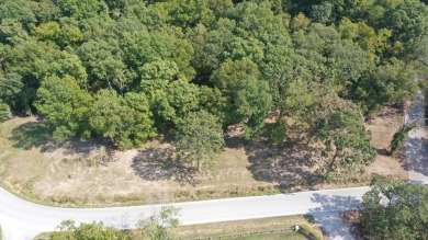 Table Rock Lake Lot For Sale in Lampe Missouri