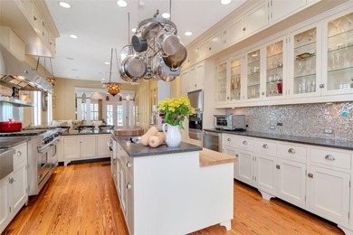 Located in the heart of historic Hyde Park, this beautifully - photo 11