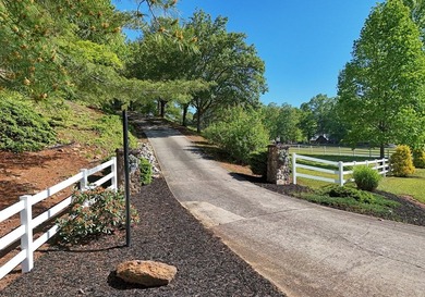 Drive through the peaceful setting of a long tree lined driveway - photo 22