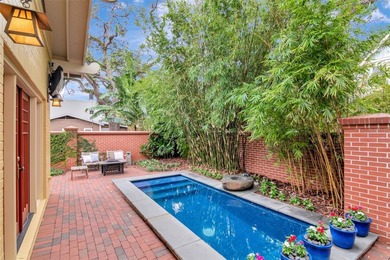 Located in the heart of historic Hyde Park, this beautifully - photo 28