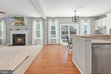 Welcome to 1100 Austin Drive, located in the heart of Village of - photo 31