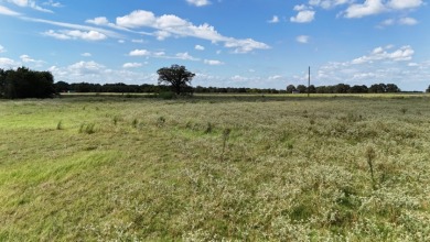 Cleared 20 ac tract ready for your country living dream retreat - photo 7