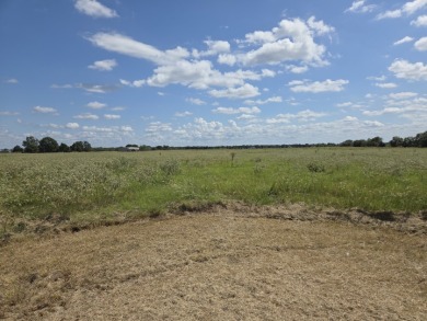 Cleared 20 ac tract ready for your country living dream retreat - photo 11