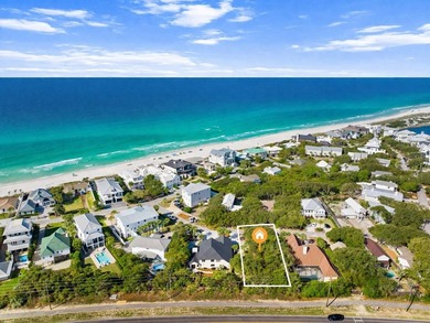 Camp Creek Lake Lot For Sale in Inlet Beach Florida