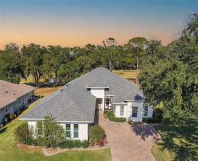 Lake Griffin Home For Sale in Lady Lake Florida