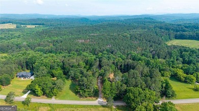 New Construction Craftsman Farmhouse on 10.87 Private Acres in - photo 10