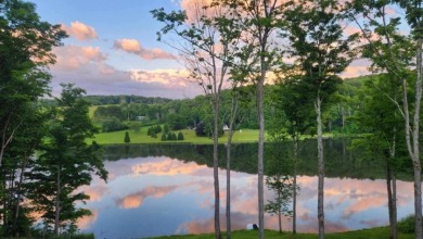 734 Lakeside Drive Sayre, PA 18840
Live life on the lake - photo 28