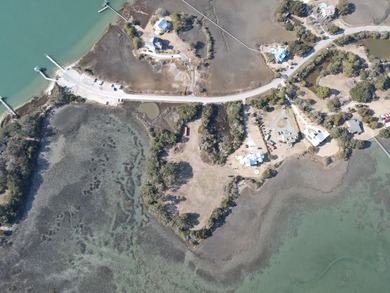 2421 Sol Legare Road in Charleston, SC -- a rare +/-4.267 gross - photo 3