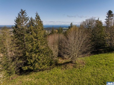 Ready to build 1.25 acre land parcel on Ravens Ridge Road - photo 13